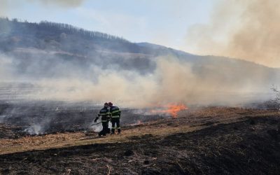Un incendiu de proporții a mistuit duminică o arie extinsă de vegetație în zona împădurită din apropierea complexului „Două Veverițe”, din localitatea Lăpușel, județul Maramureș