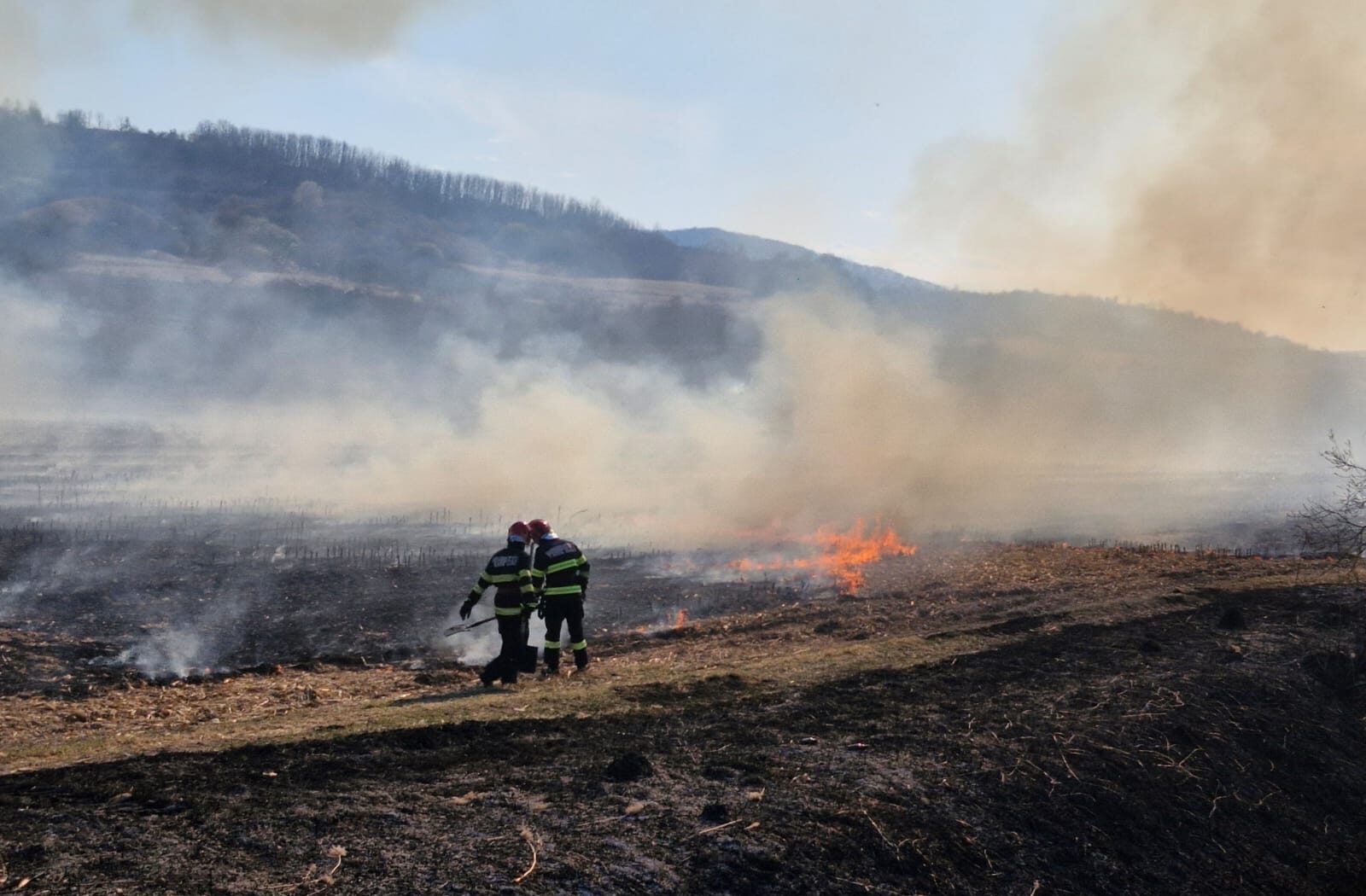 Un incendiu de proporții a mistuit duminică o arie extinsă de vegetație în zona împădurită din apropierea complexului „Două Veverițe”, din localitatea Lăpușel, județul Maramureș