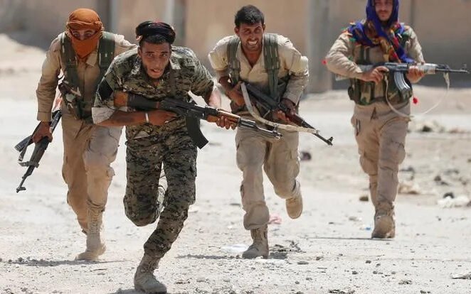 kurzi-luptatori-iran-e1772777042960.jpg - StiriAlese