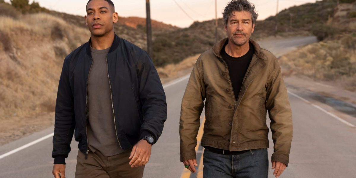 lanterns-scaled.jpg - StiriAlese