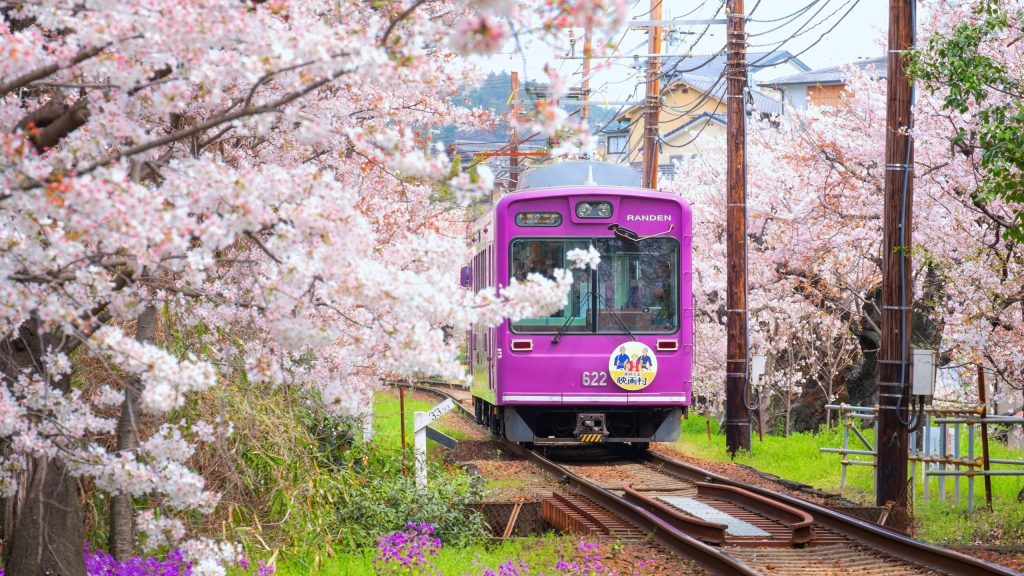 Kyoto, oraș emblematic al Japoniei și unul dintre cele mai prietenoase destinații turistice din lume, a decis să-și mărească semnificativ taxele hotelier începând cu primele zile ale lunii martie