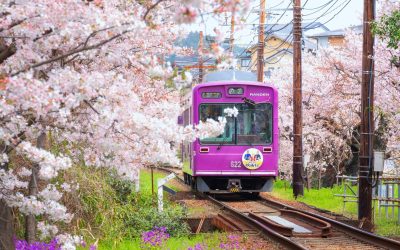 orasul-kyoto-japonia-shutter_descopera-scaled.jpg - StiriAlese