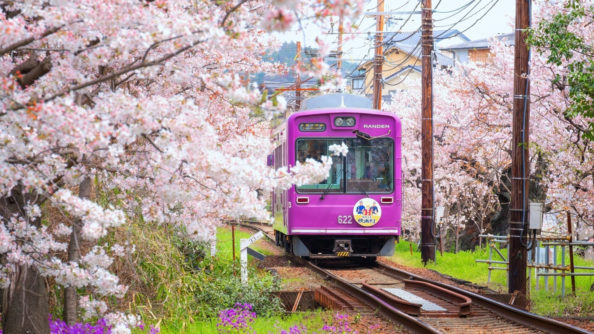 Kyoto, oraș emblematic al Japoniei și unul dintre cele mai prietenoase destinații turistice din lume, a decis să-și mărească semnificativ taxele hotelier începând cu primele zile ale lunii martie