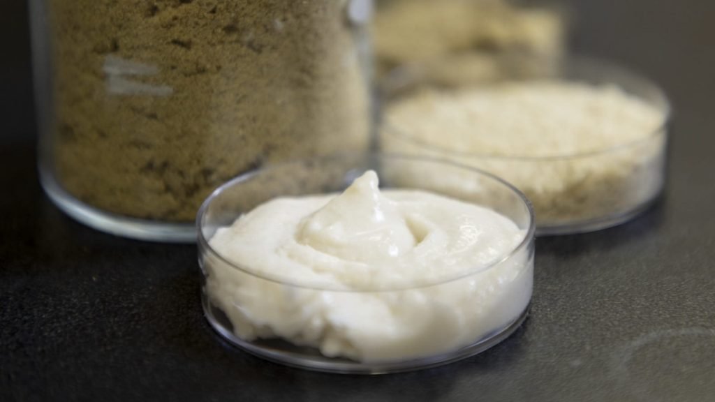 Orezul, noul aliat al brânzei vegane cu profil proteic îmbunătățit Industria alimentară exploră în mod dinamic alternativele vegetale la brânzeturi, iar orezul devine tot mai atractiv în acest context