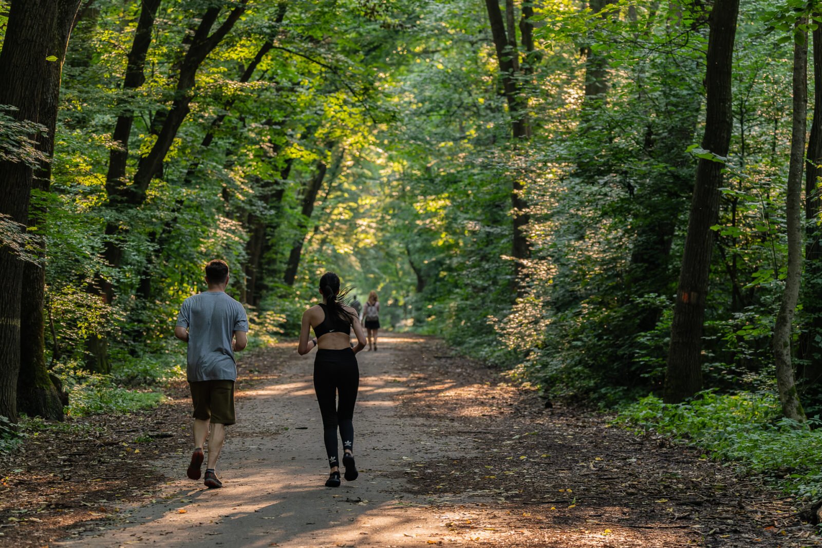 O nouă abordare pentru protejarea Pădurii Băneasa: propunerea de transformare într-un parc natural Urbanizarea din nordul Bucureștiului a transformat dramatic peisajele locale, dar un arie de pădure denumită oficial „Pădurea Băneasa” poate fi salvată de la riscul dispariției totale