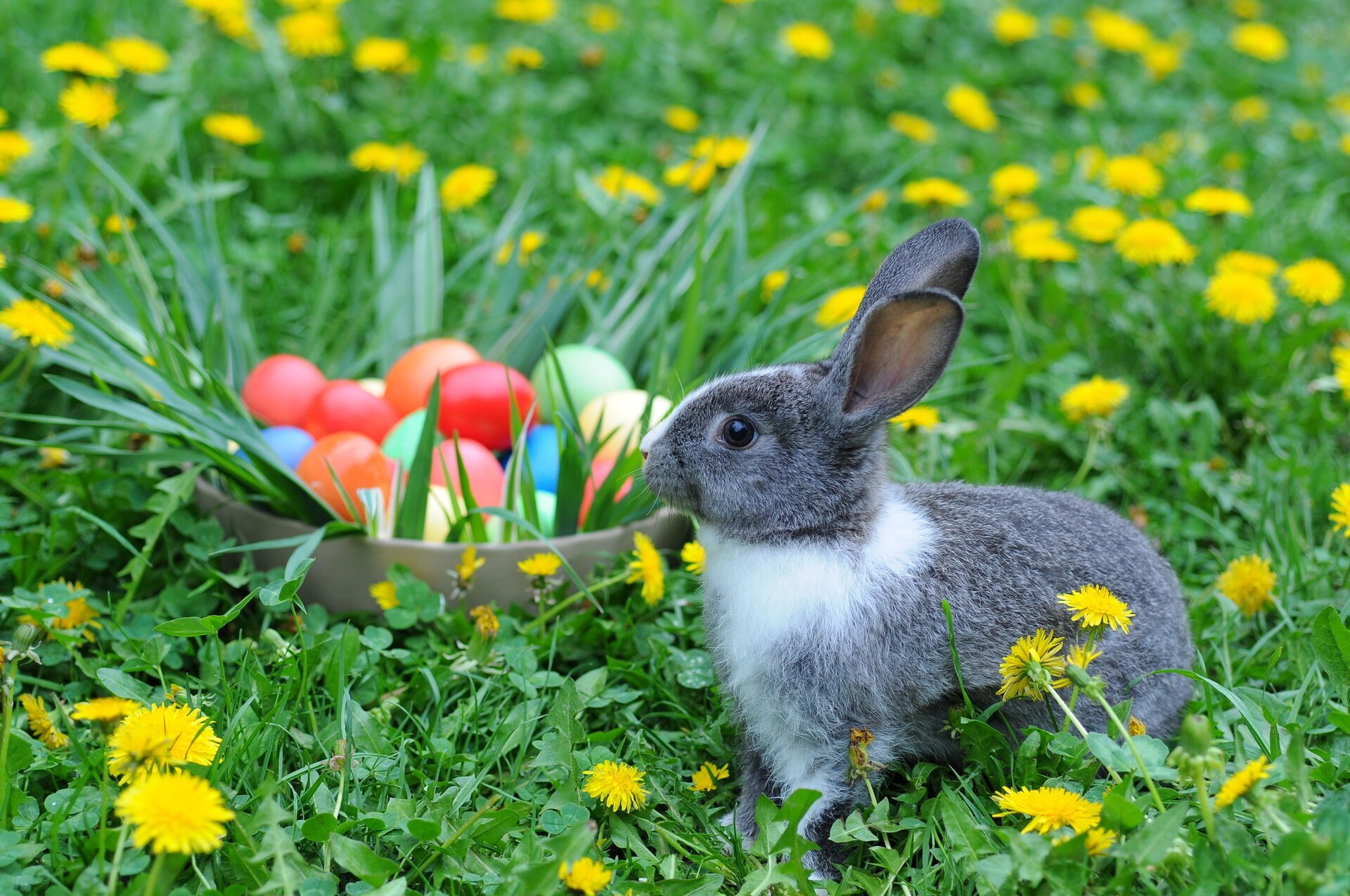 Paștele ortodox va fi sărbătorit în acest an pe 12 aprilie, în timp ce indiferent de tradiție, creștinii catolici vor marca Învierea Domnului în data de 5 aprilie