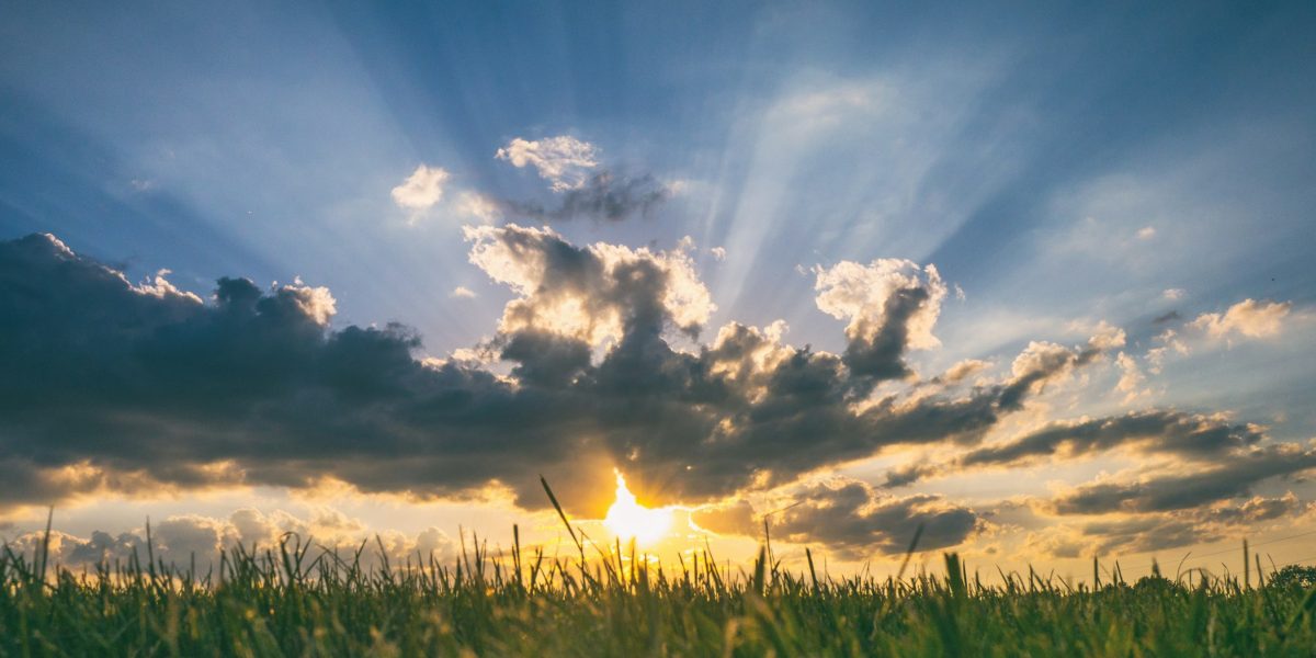 photo-1464660439080-b79116909ce7.jpeg - StiriAlese