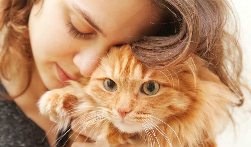 pisica6-1024x836.jpg - StiriAlese