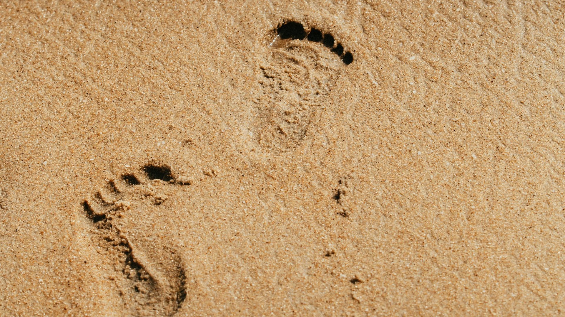 Un incident grav în zona litoralului românesc a stârnit alarmă după ce o operațiune de pregătire pentru sezonul estival a scos la iveală o situație extrem de periculoasă