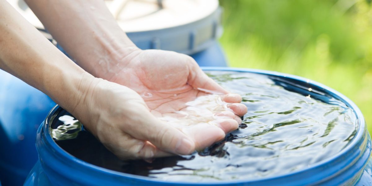 ploaie-este-buna-de-baut_shutterstock_descopera-10.jpg - StiriAlese