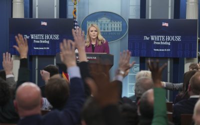 profimedia-0958391960.jpg - StiriAlese