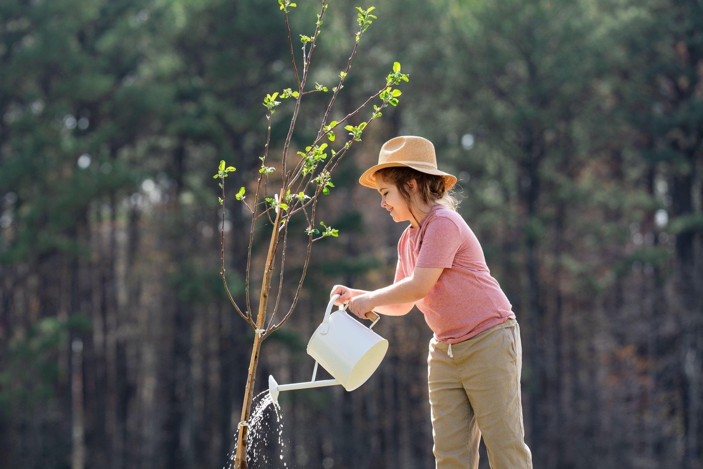 Copacii plantați în martie: secretul pentru prindere rapidă
