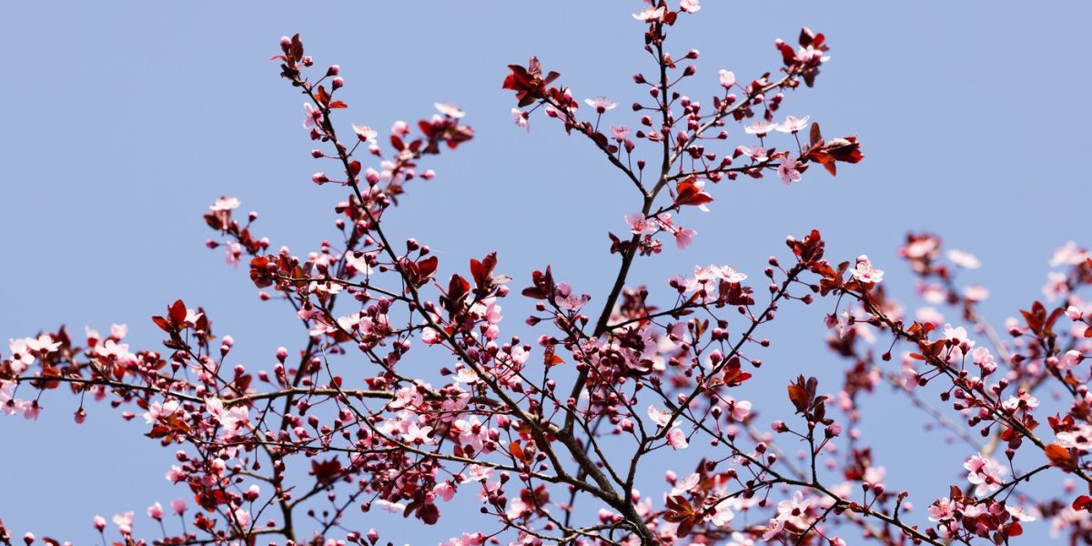 profimedia-1081352635.jpg - StiriAlese