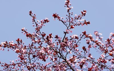 profimedia-1081352635.jpg - StiriAlese