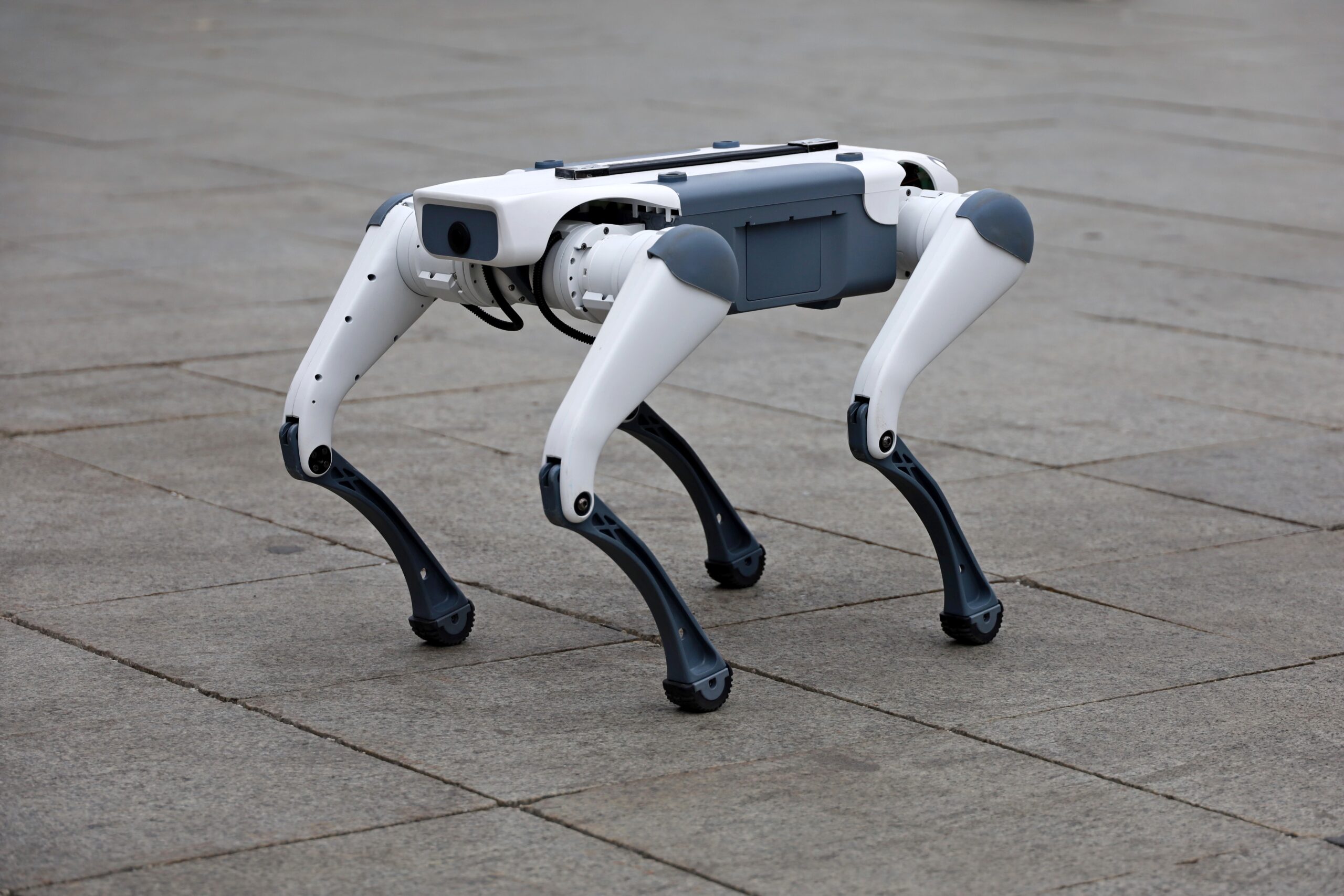 Roboti patrupedi și umanoizi veghează de acum străzile din Târgu Mureș, semnalând o mutație semnificativă în modul în care administrațiile locale gestionează curățenia și conștientizarea cetățenilor