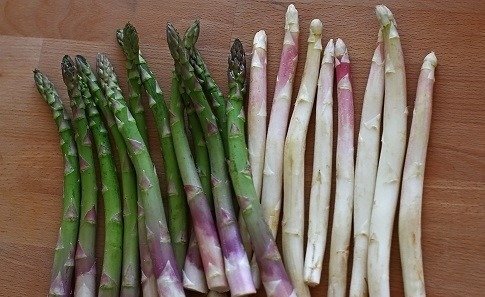 Protest împotriva agricultorilor care manipulează natura: sparanghel italian recoltat mai devreme după udat cu apă caldă