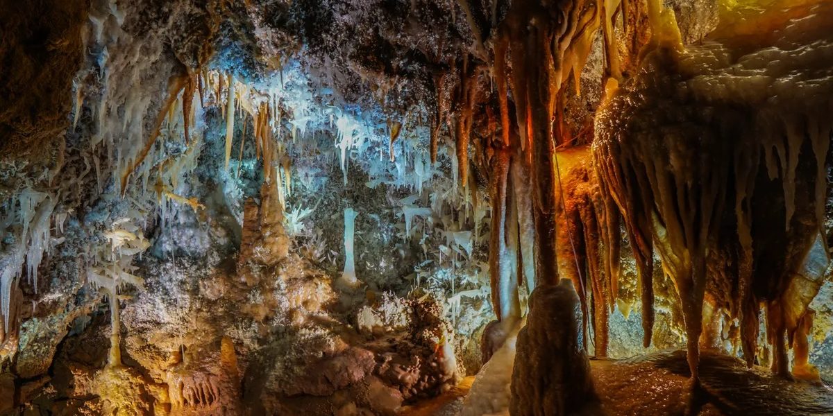 studiu-pestera.jpg - StiriAlese