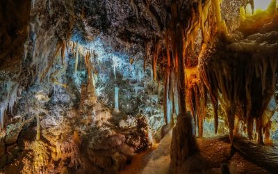 studiu-pestera.jpg - StiriAlese