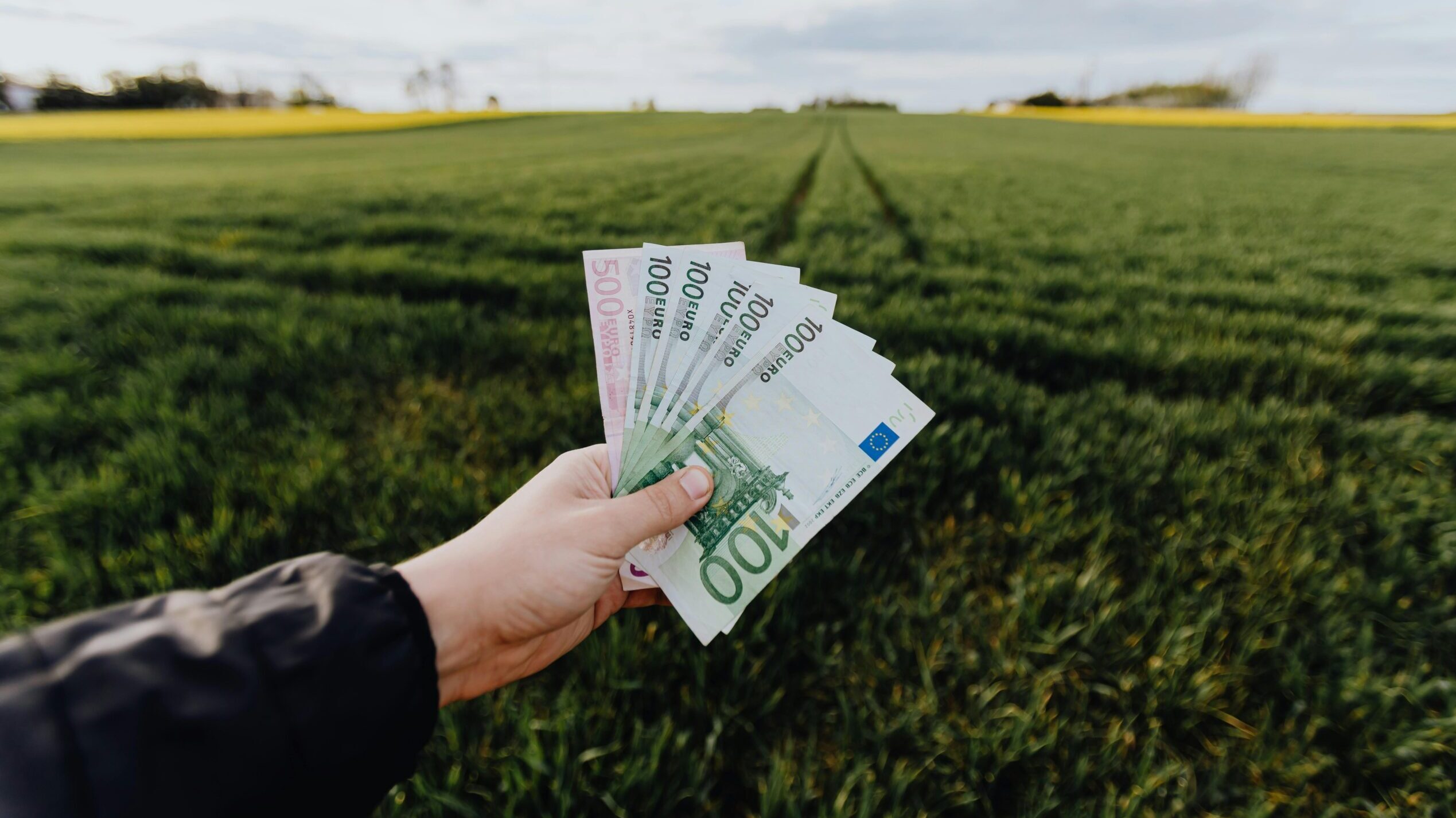 Fermierii români primesc, în aceste zile, o veste bună, după o perioadă de incertitudine legată de plata ecoschemei PD-28, o măsură menită să sprijine agricultura durabilă și conservarea peisajului rural