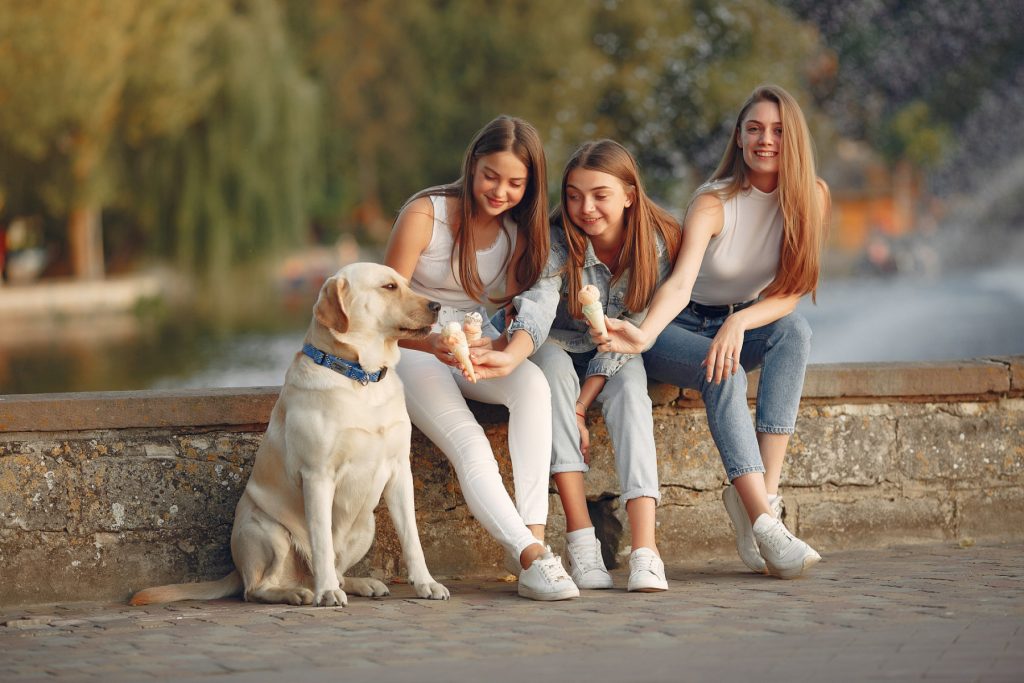 România, o țară în care populară percepție despre structura demografică se schimbă radical, înregistrează o creștere surprinzătoare a populației feminine raportată la cea masculină, potrivit datelor actualizate la începutul anului 2025