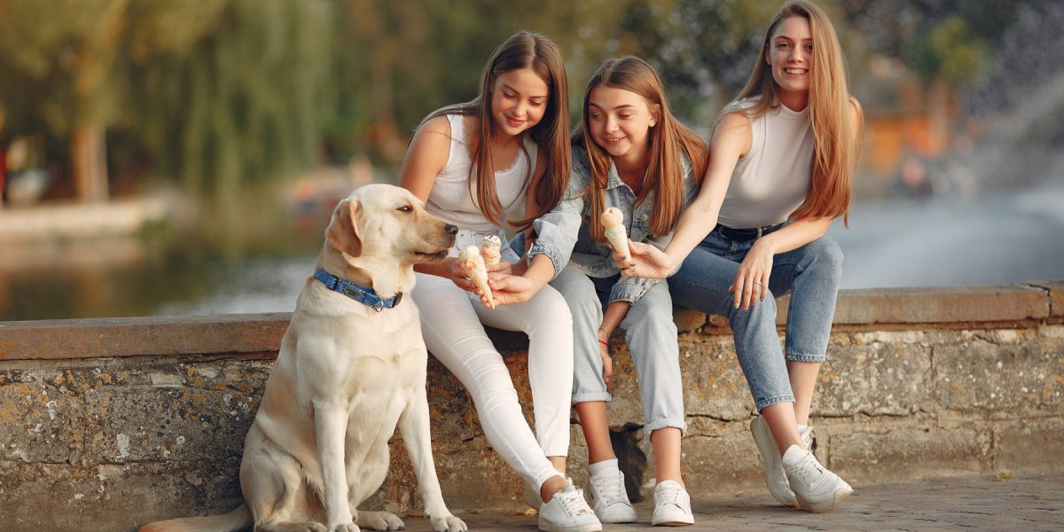 Iași: pentru prima dată, mai mulți bărbați decât femei în județ, fenomen rar în România