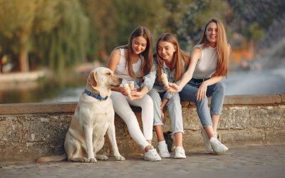 România, o țară în care populară percepție despre structura demografică se schimbă radical, înregistrează o creștere surprinzătoare a populației feminine raportată la cea masculină, potrivit datelor actualizate la începutul anului 2025