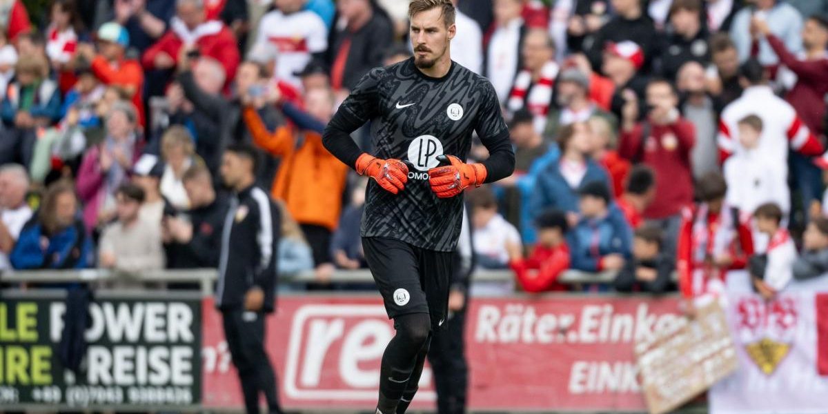 toulouse-69a8b34fb72df.jpg - StiriAlese