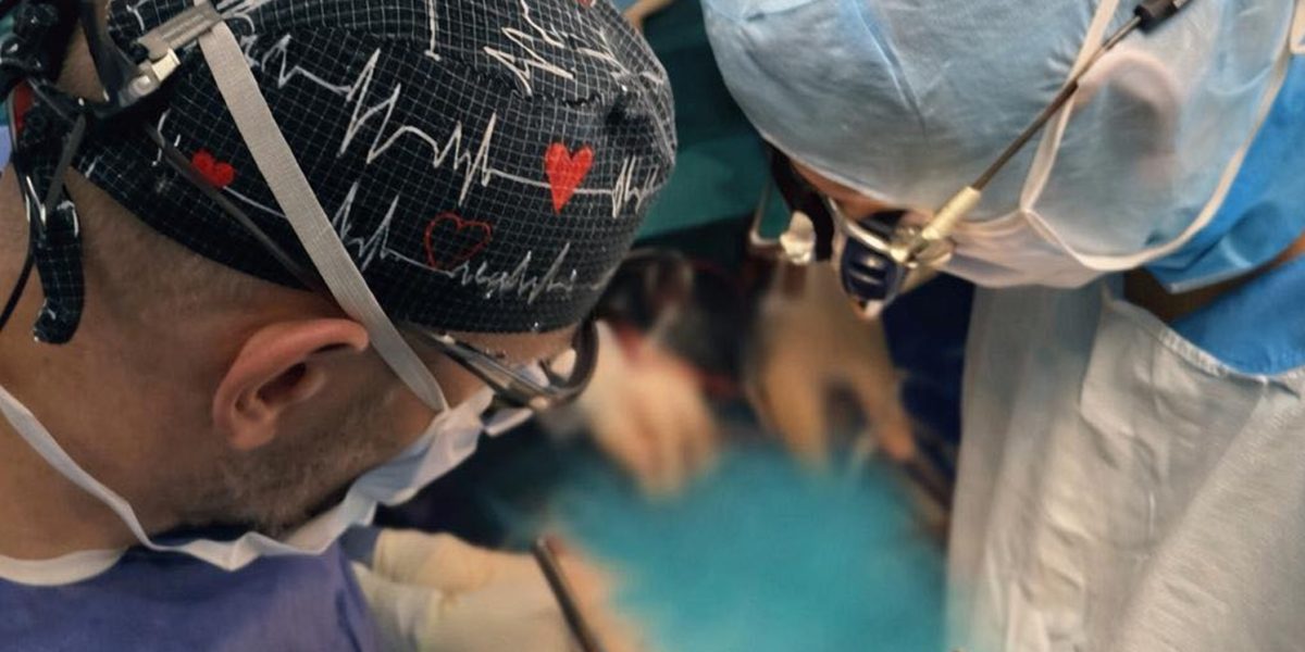 transplant-cord.jpg - StiriAlese