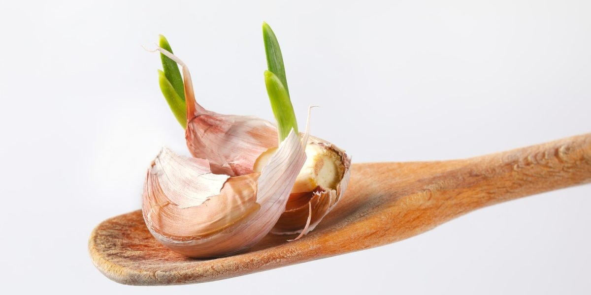 usturoi.jpg - StiriAlese