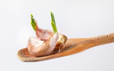 usturoi.jpg - StiriAlese