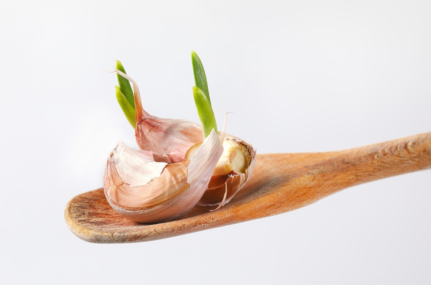 Efectele consumului de usturoi încolțit asupra sănătății
