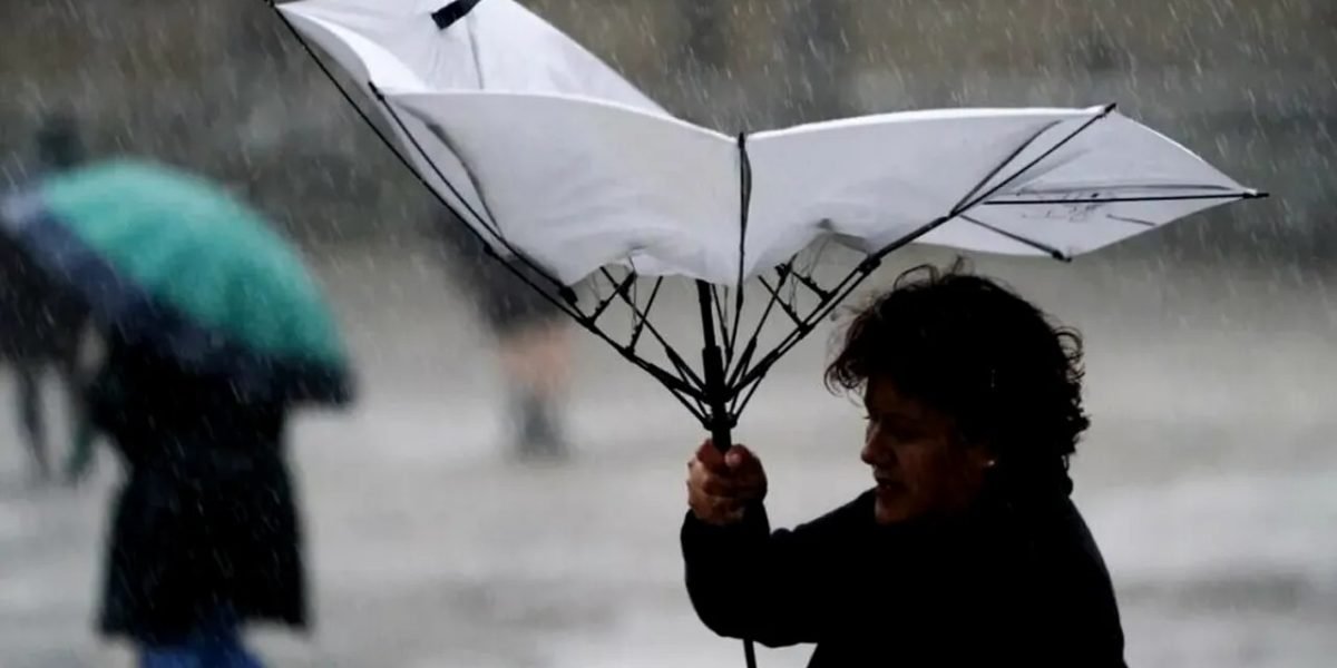 vant-2.jpg - StiriAlese