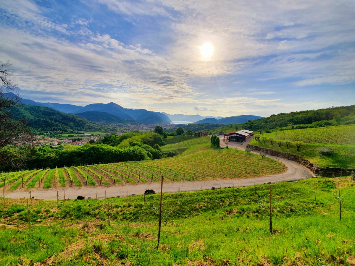 Femeile conduc în proporție de unul din patru întreprinderi din regiunea Toscana, o regiune emblematică pentru peisajele sale idilice și pentru tradiția agricolă de lungă durată