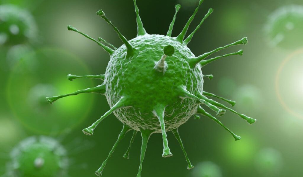 virus-gripa-shutterstock1-1-1024x768.jpg - StiriAlese