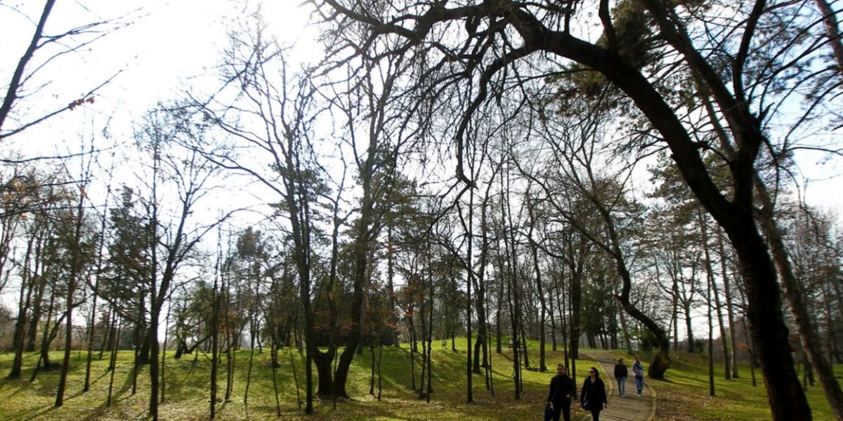 vremea.jpg - StiriAlese