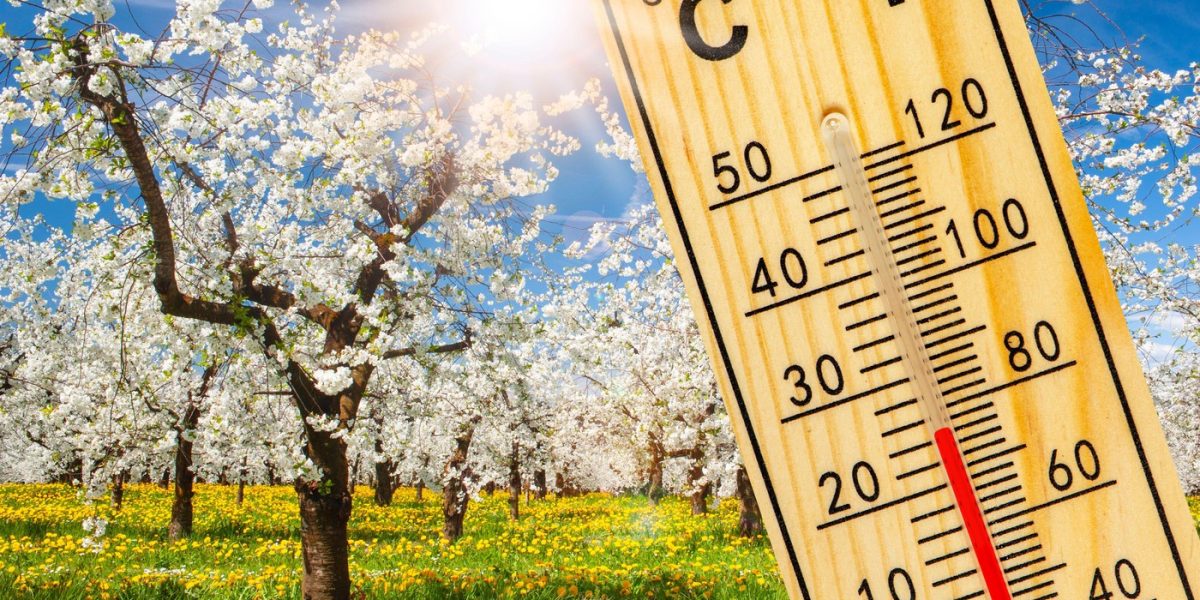 vremea-primavara-martie.jpg - StiriAlese