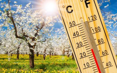 vremea-primavara-martie.jpg - StiriAlese