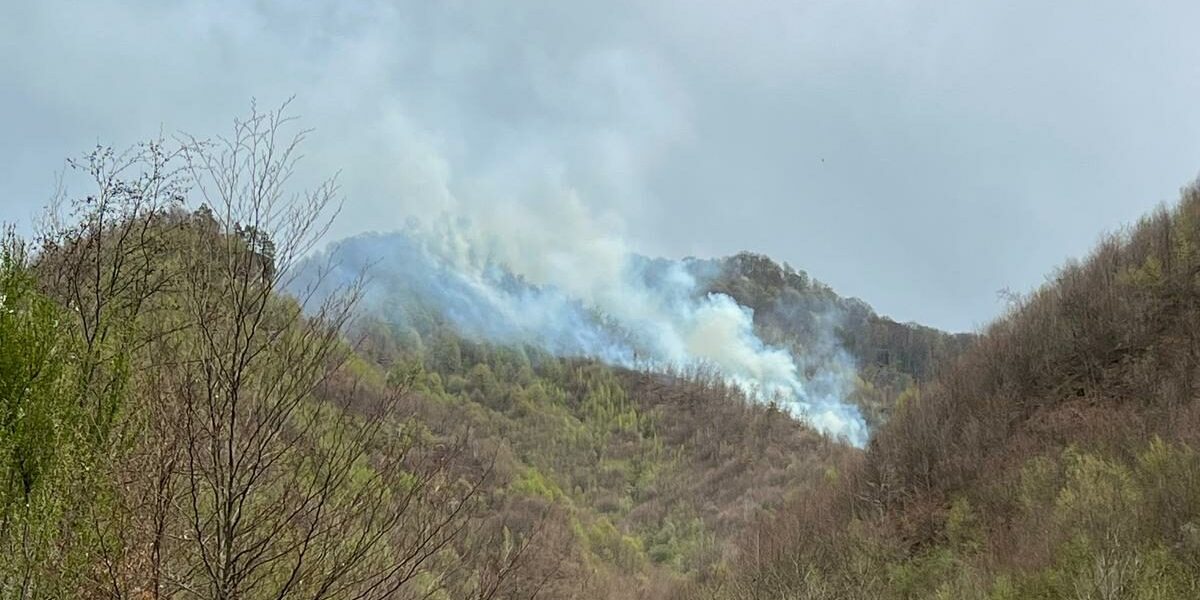 Incendiu de amploare în Maramureș: ard vegetație uscată și litieră