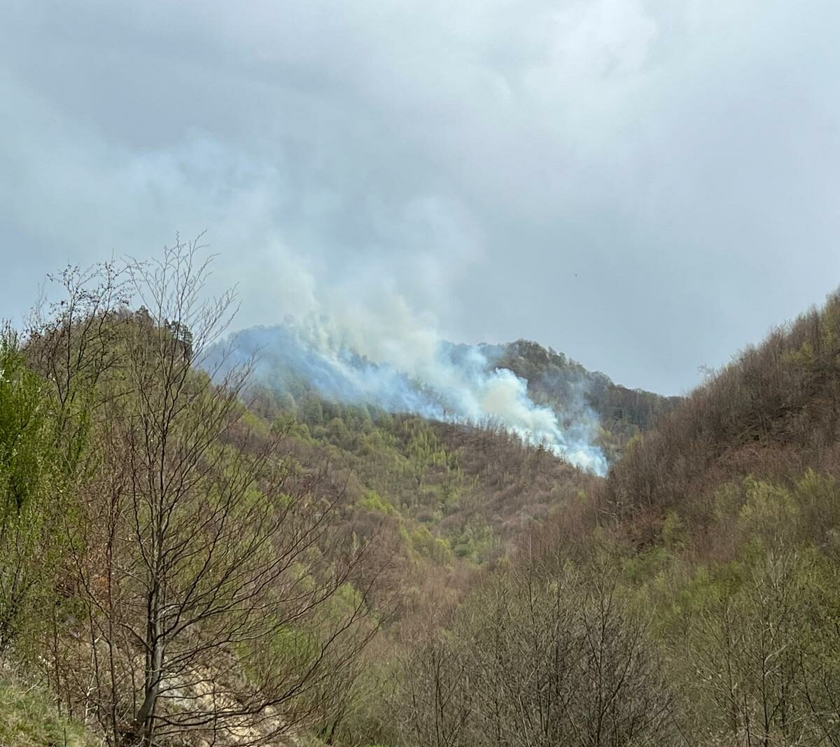 Incendiu de vegetație în Maramureș, intervenție masivă a autorităților Un incendiu de vegetație uscată și litieră a izbucnit în aceste momente în zona împădurită din apropierea complexului „Două Veverițe”, din comuna Lăpușel, și a mobilizat autoritățile din județ