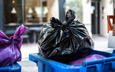 Sectorul 2: Scapă GRATUIT de deșeuri în București! Ce trebuie să știi