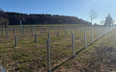 „Băieții deștepți” revin în energie? Proiecte de mii de MW, blocate, vândute pe OLX