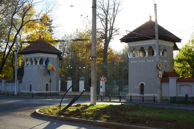 Nicuşor Dan, convocare-șoc la Cotroceni: Liderii partidelor, chemați la discuții