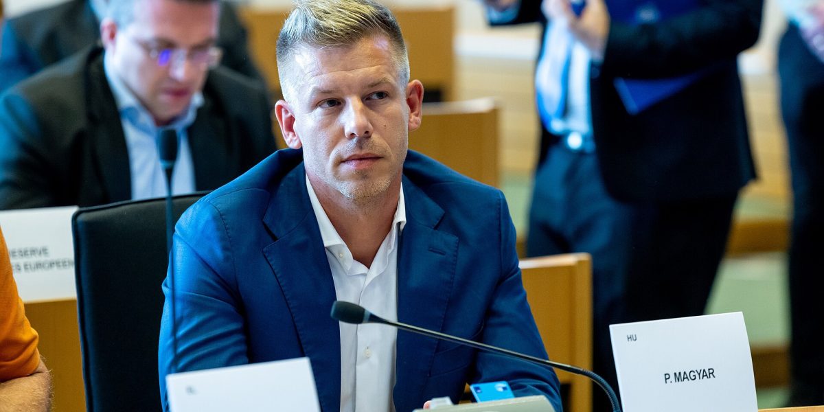 Magyar, omul care l-a învins pe Orban: De la afișul deasupra patului la victorie zdrobitoare