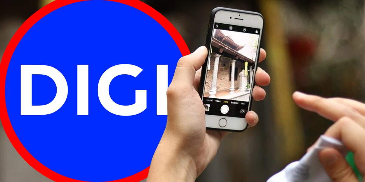 2-main-6.jpg - StiriAlese