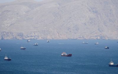 UAE părăsește OPEC, lovitură pentru exportatorii de petrol, pe fondul crizei din Iran