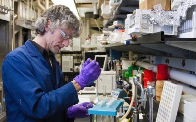 BofA: Scade ținta de preț pentru Pfizer, acțiunile PFE la 26 dolari