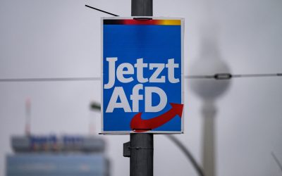 AfD, partidul extremist, conduce în Germania. Guvernarea, în picaj