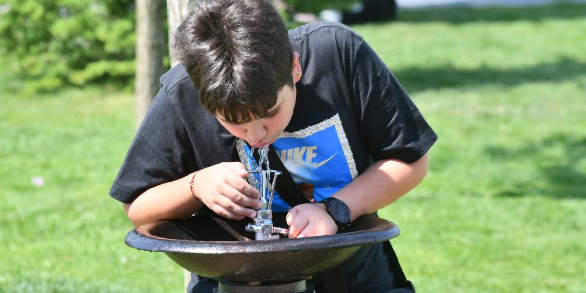 O firmă cu un angajat, plătită regește pentru cișmelele din Sectorul 6