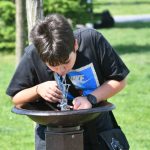 O firmă cu un angajat, plătită regește pentru cișmelele din Sectorul 6