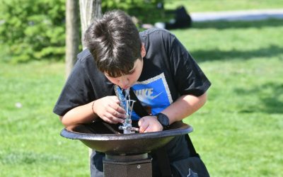 Primăria Sectorului 6, explicații halucinante despre cișmele. Firma cu 2 angajați, favorită?